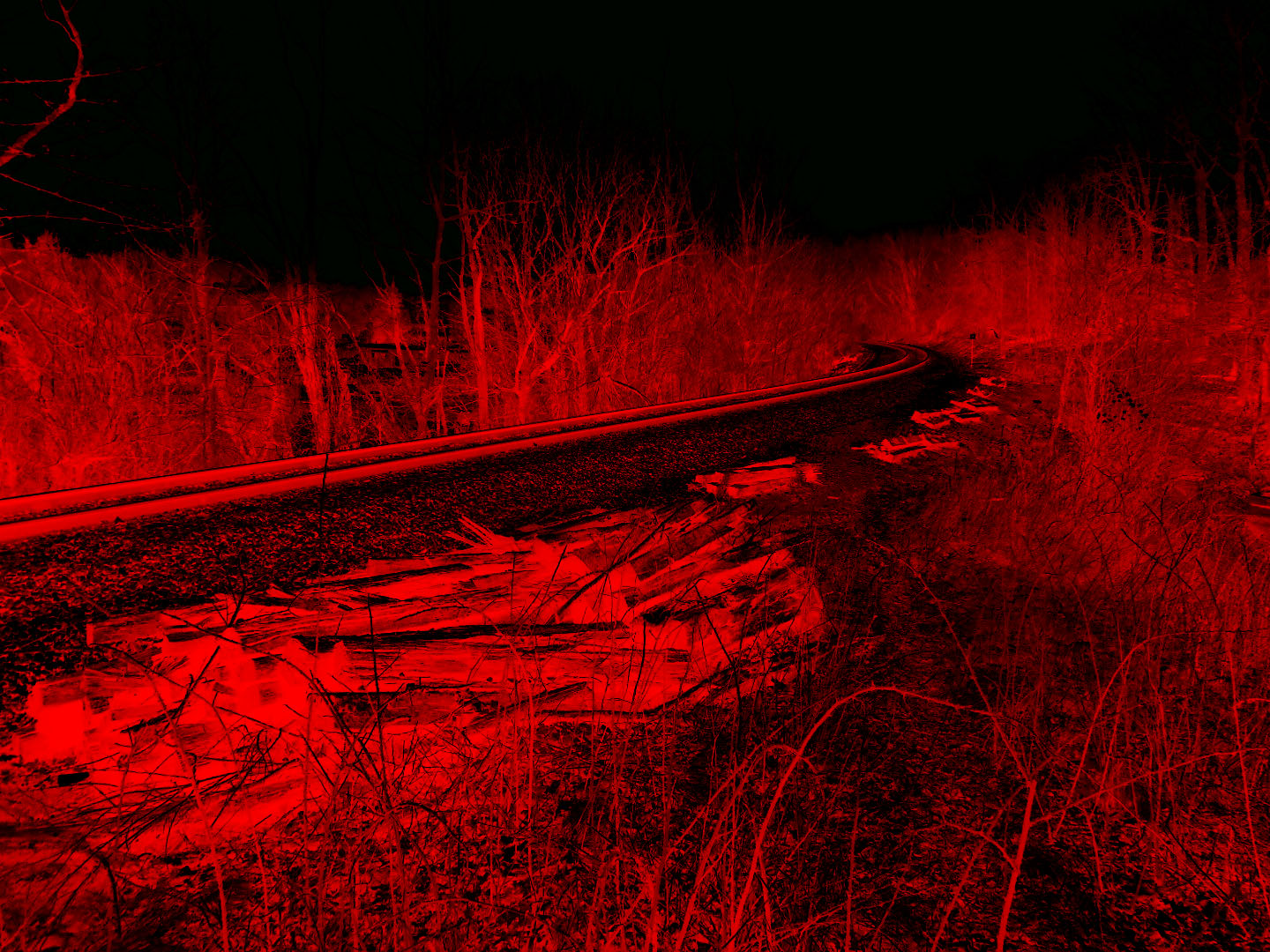 black and red forest