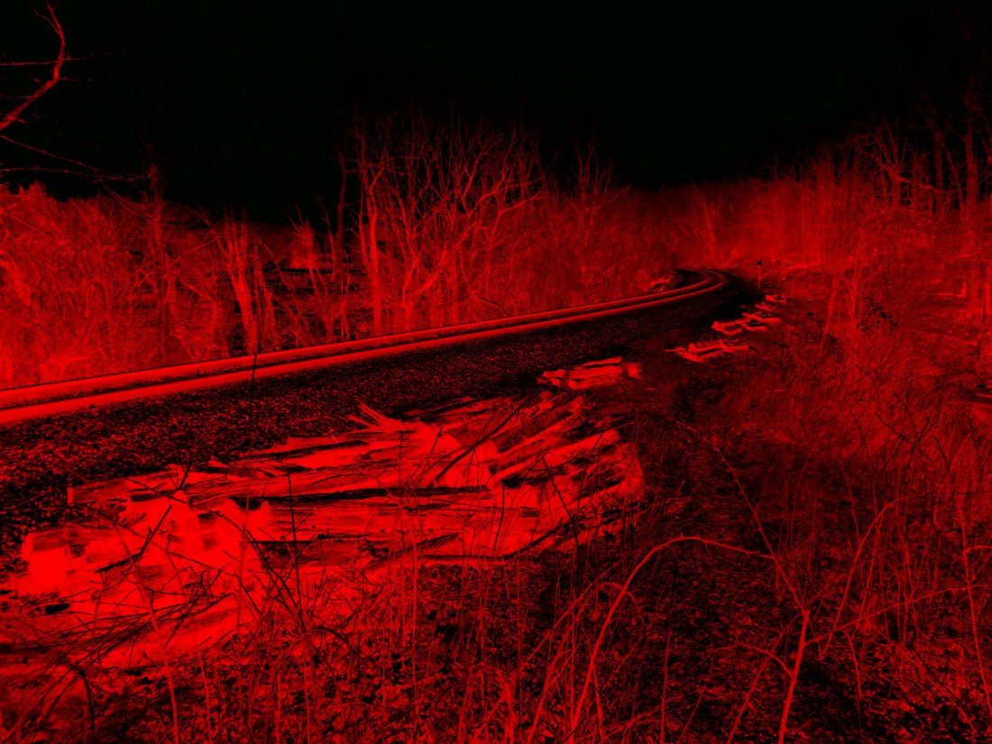 black and red forest